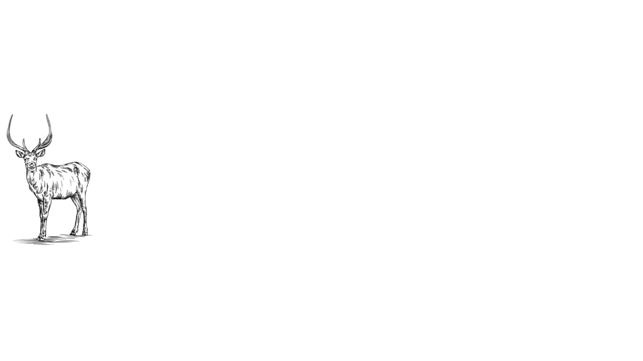 本川ジビエレザー　シエルヴォ